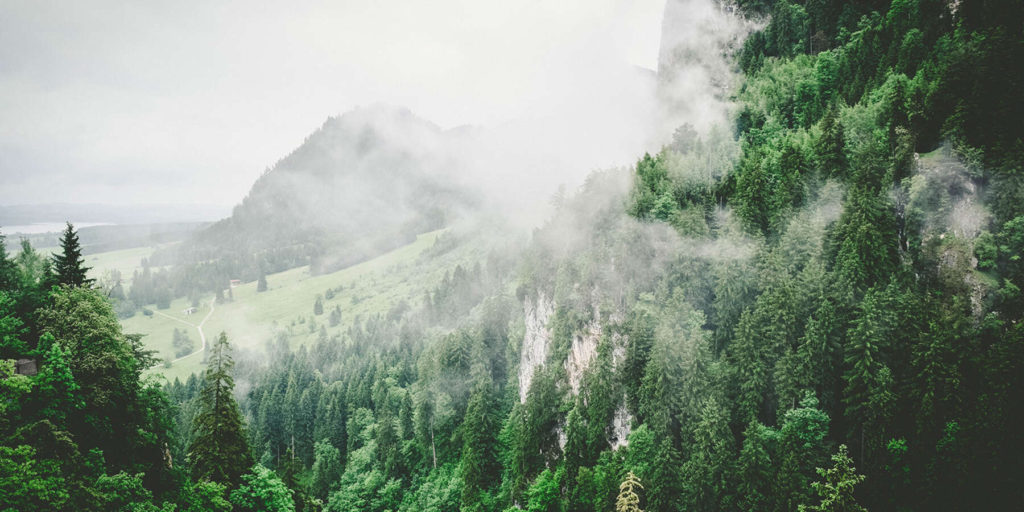 Image of beautiful, wooded mountainside with mist.